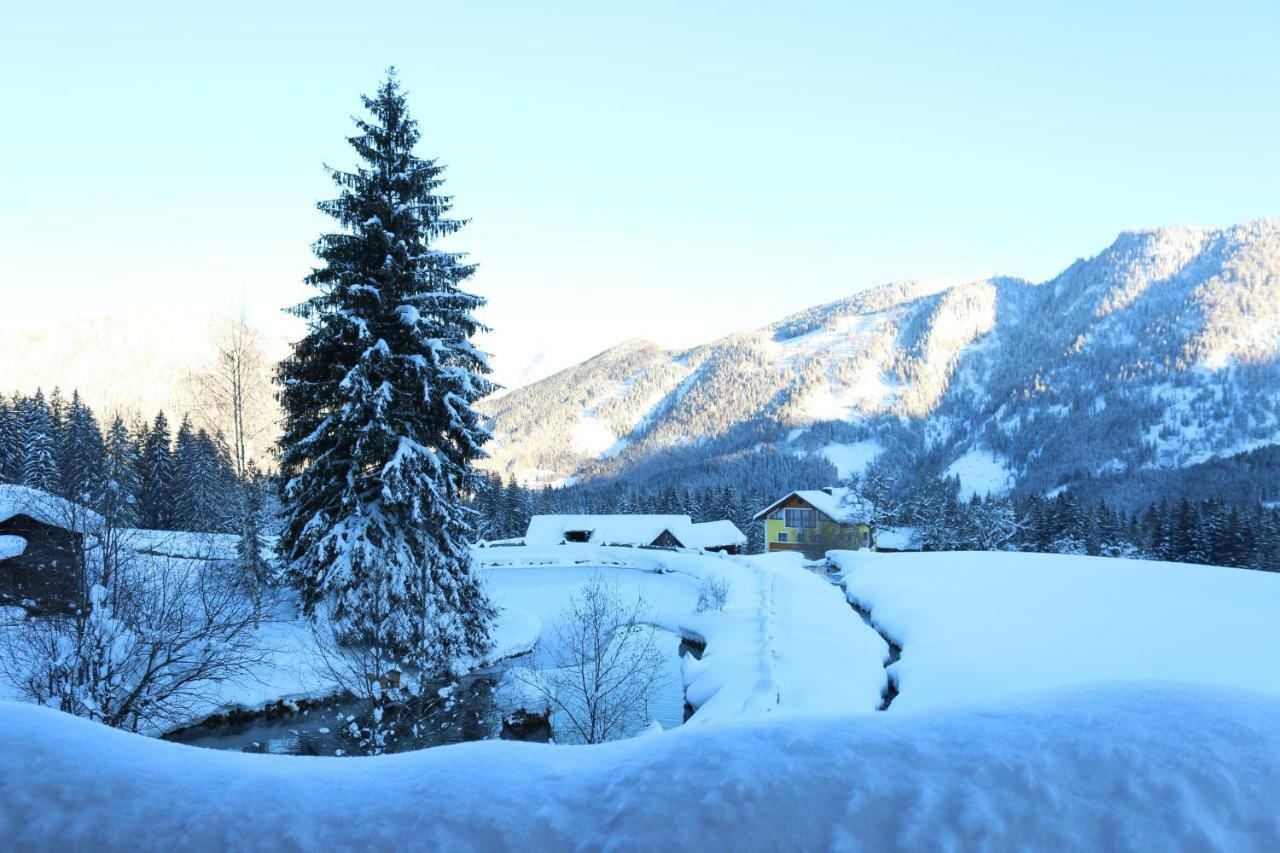 Ferienhaus Am Muehlbach Gams bei Hieflau Luaran gambar